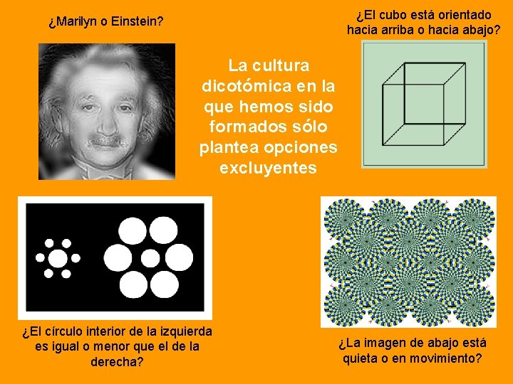 ¿El cubo está orientado hacia arriba o hacia abajo? ¿Marilyn o Einstein? La cultura