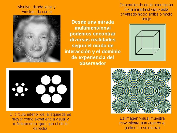 Marilyn desde lejos y Einstein de cerca Dependiendo de la orientación de la mirada