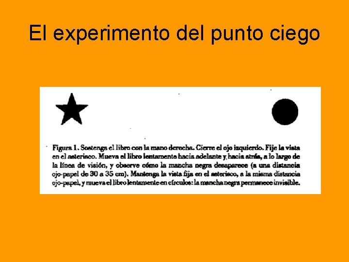 El experimento del punto ciego 