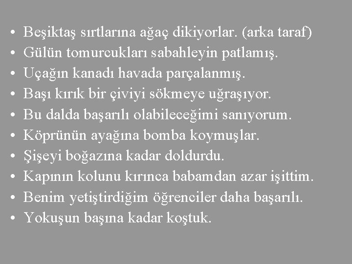  • • • Beşiktaş sırtlarına ağaç dikiyorlar. (arka taraf) Gülün tomurcukları sabahleyin patlamış.