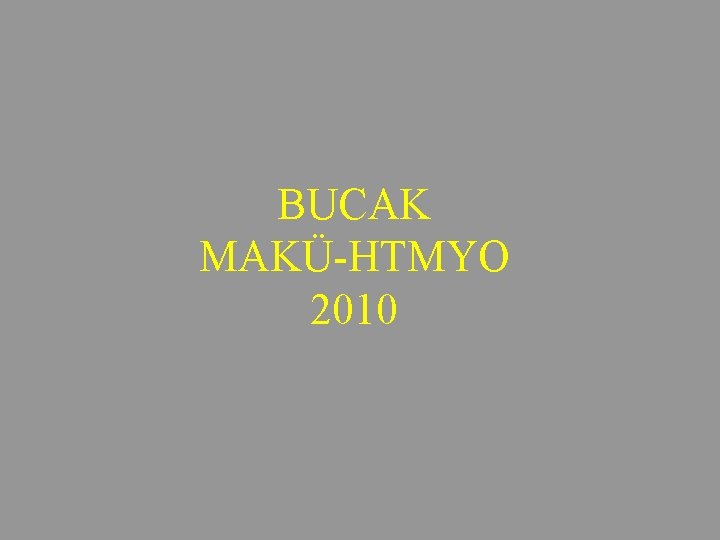 BUCAK MAKÜ HTMYO 2010 