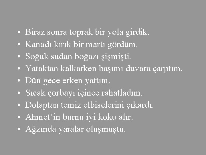  • • • Biraz sonra toprak bir yola girdik. Kanadı kırık bir martı