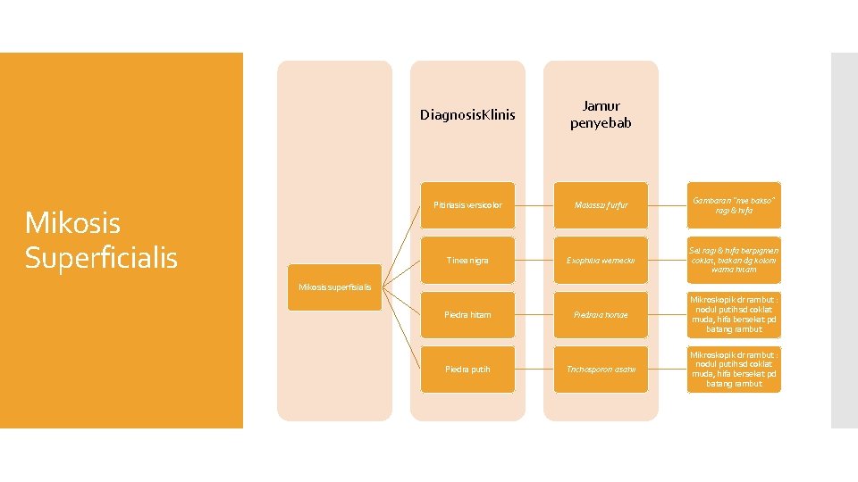 Mikosis Superficialis Diagnosis. Klinis Jamur penyebab Pitiriasis versicolor Malasszi furfur Gambaran “mie bakso” ragi