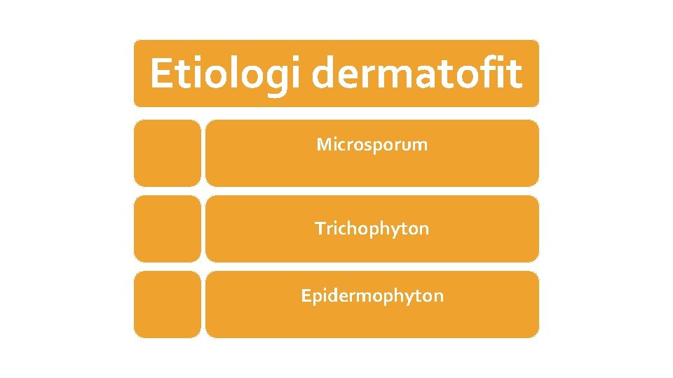 Etiologi dermatofit Microsporum Trichophyton Epidermophyton 