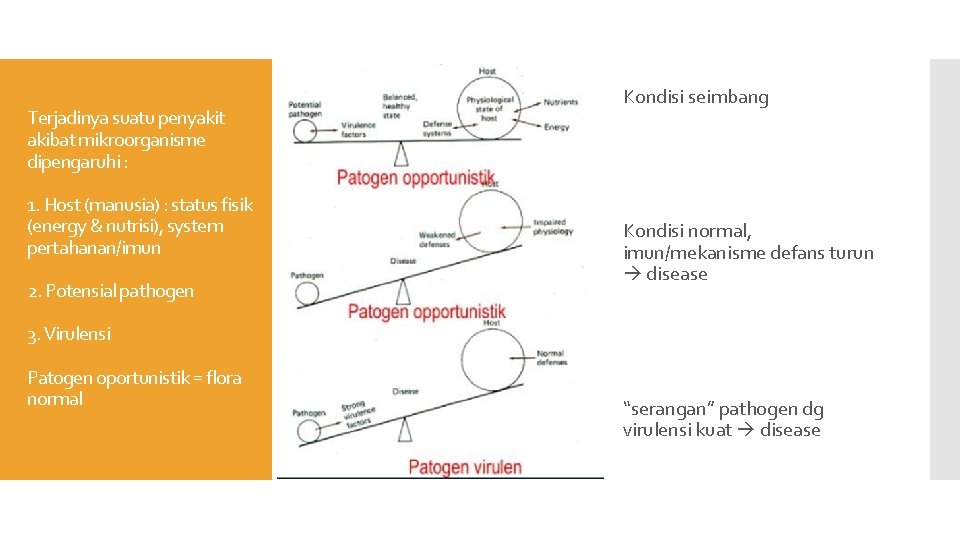 Terjadinya suatu penyakit akibat mikroorganisme dipengaruhi : 1. Host (manusia) : status fisik (energy