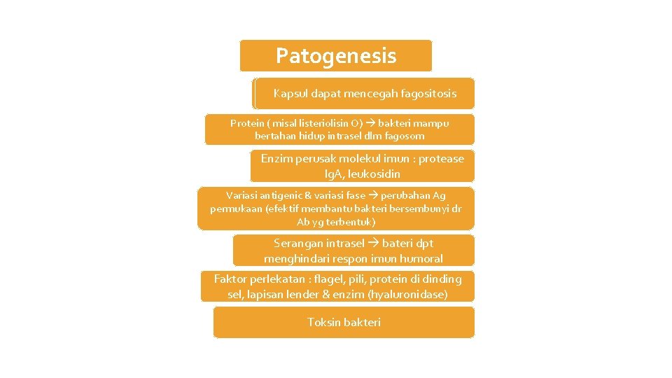 Patogenesis Kapsul dapat mencegah fagositosis Protein ( misal listeriolisin O) bakteri mampu bertahan hidup