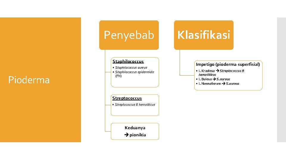 Penyebab Staphilococcus Pioderma • Staphilococcus aureus • Staphilococcus epidermidis (FN) Streptococcus • Streptococcus B