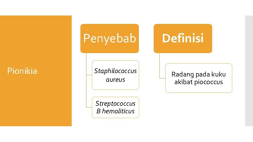 Penyebab Pionikia Staphilococcus aureus Streptococcus B hemoliticus Definisi Radang pada kuku akibat piococcus 