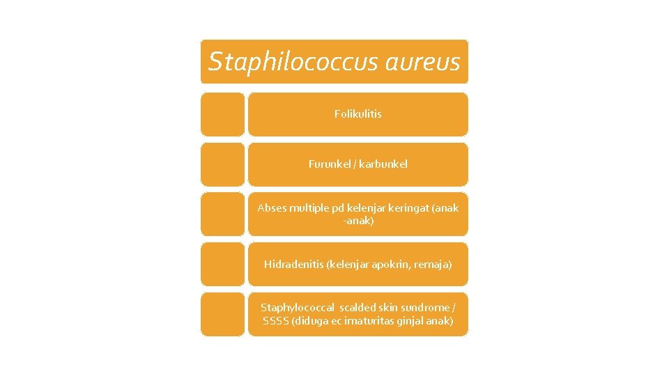 Staphilococcus aureus Folikulitis Furunkel / karbunkel Abses multiple pd kelenjar keringat (anak -anak) Hidradenitis