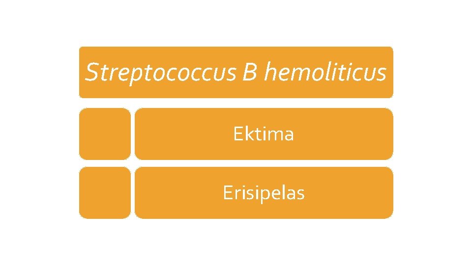 Streptococcus B hemoliticus Ektima Erisipelas 