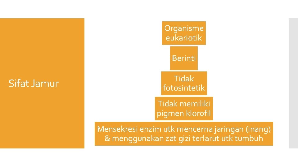 Organisme eukariotik Berinti Sifat Jamur Tidak fotosintetik Tidak memiliki pigmen klorofil Mensekresi enzim utk