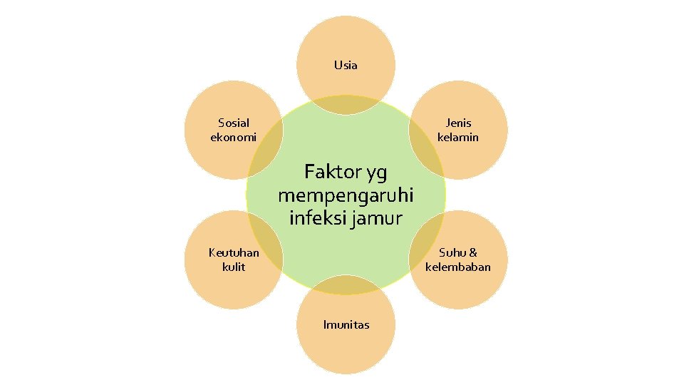 Usia Sosial ekonomi Jenis kelamin Faktor yg mempengaruhi infeksi jamur Keutuhan kulit Suhu &