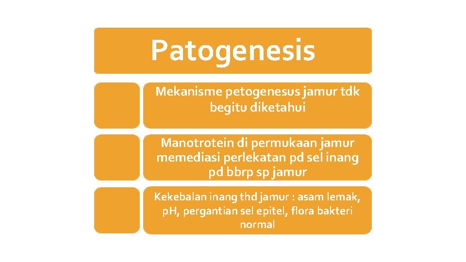 Patogenesis Mekanisme petogenesus jamur tdk begitu diketahui Manotrotein di permukaan jamur memediasi perlekatan pd