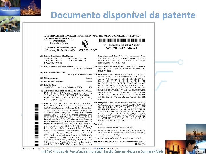 Documento disponível da patente In. GTe. C - Núcleo de Pesquisas em Inovação, Gestão
