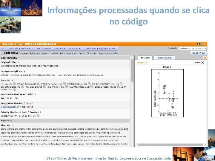 Informações processadas quando se clica no código In. GTe. C - Núcleo de Pesquisas