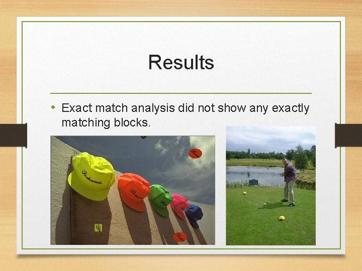 Results • Exact match analysis did not show any exactly matching blocks. 