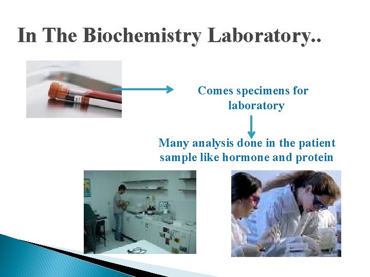 In The Biochemistry Laboratory. . Comes specimens for laboratory Many analysis done in the