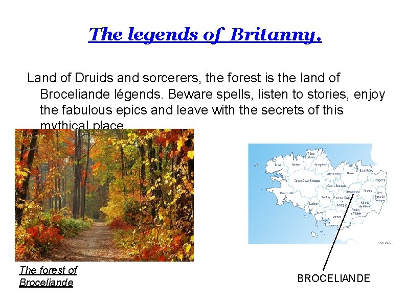 The legends of Britanny. Land of Druids and sorcerers, the forest is the land