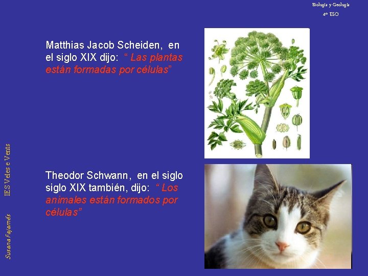 Biología y Geología 4º ESO Susana Fajarnés IES Veles e Vents Matthias Jacob Scheiden,