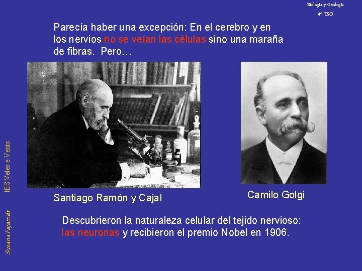 Biología y Geología 4º ESO Susana Fajarnés IES Veles e Vents Parecía haber una