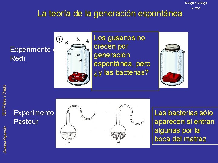 Biología y Geología La teoría de la generación espontánea Susana Fajarnés IES Veles e