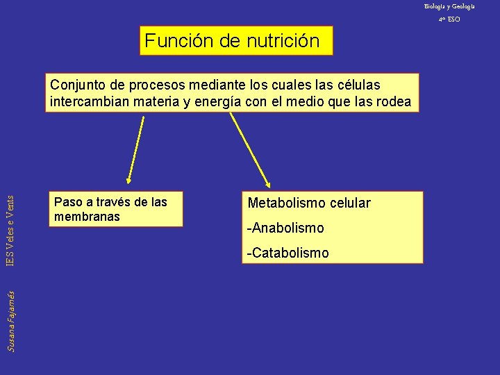 Biología y Geología Función de nutrición Susana Fajarnés IES Veles e Vents Conjunto de