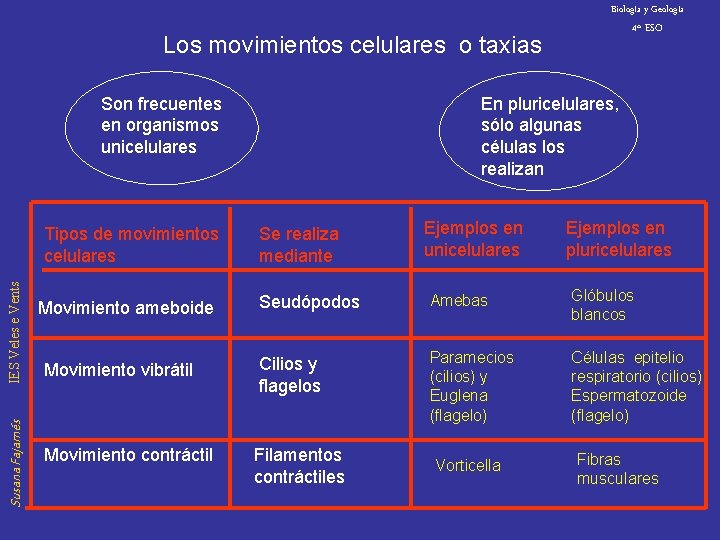 Biología y Geología 4º ESO Los movimientos celulares o taxias Son frecuentes en organismos