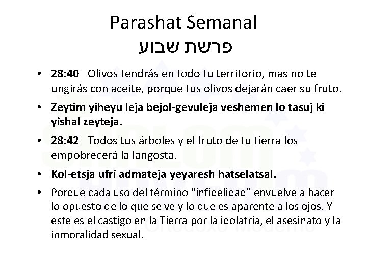 Parashat Semanal פרשת שבוע • 28: 40 Olivos tendrás en todo tu territorio, mas