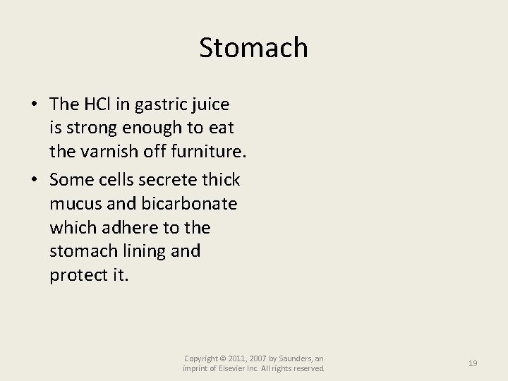 Stomach • The HCl in gastric juice is strong enough to eat the varnish