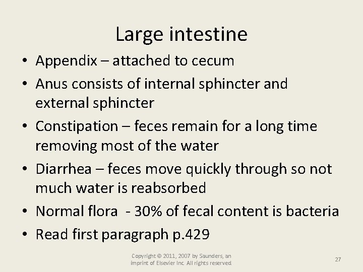 Large intestine • Appendix – attached to cecum • Anus consists of internal sphincter