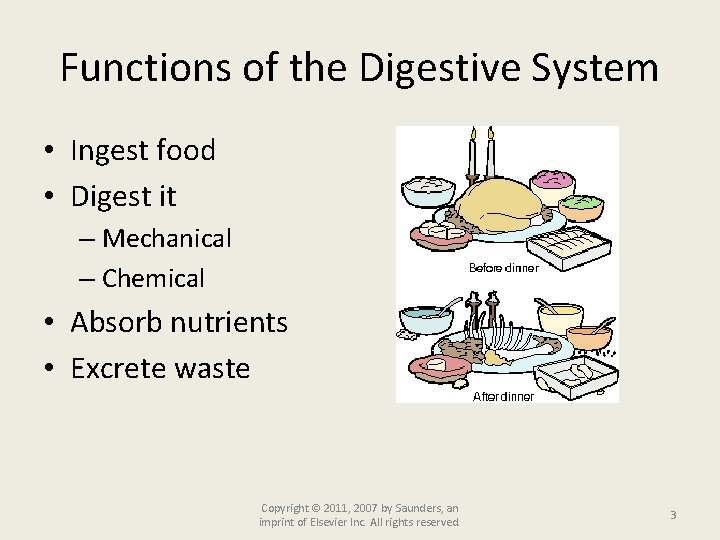 Functions of the Digestive System • Ingest food • Digest it – Mechanical –