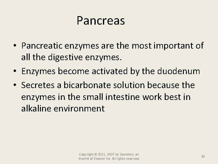 Pancreas • Pancreatic enzymes are the most important of all the digestive enzymes. •
