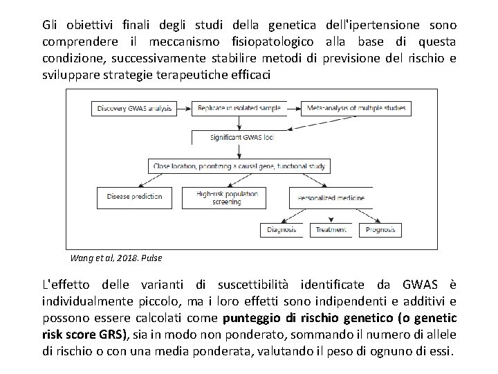 Gli obiettivi finali degli studi della genetica dell'ipertensione sono comprendere il meccanismo fisiopatologico alla