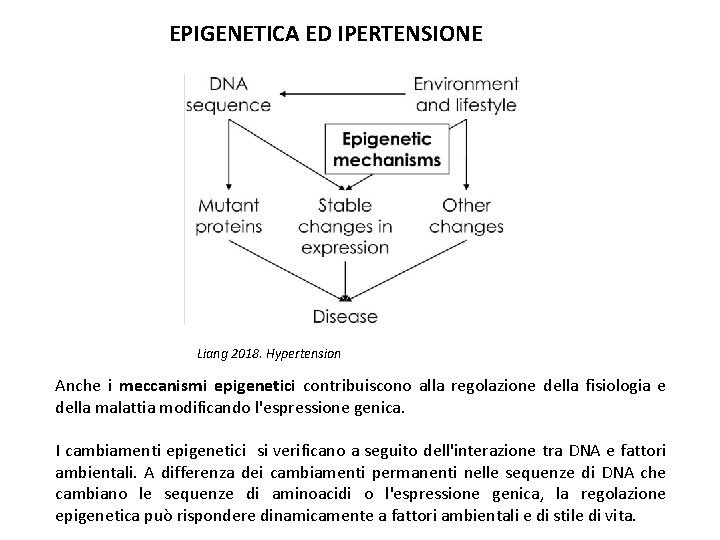 EPIGENETICA ED IPERTENSIONE Liang 2018. Hypertension Anche i meccanismi epigenetici contribuiscono alla regolazione della