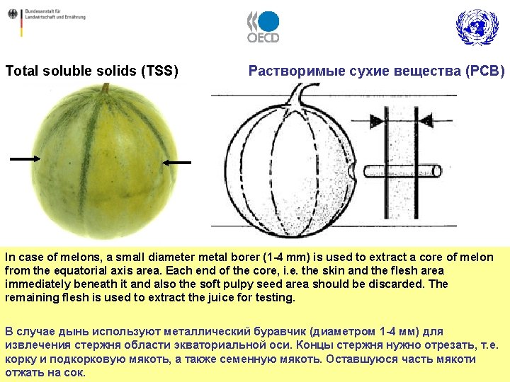 Total soluble solids (TSS) Растворимые сухие вещества (РСВ) In case of melons, a small