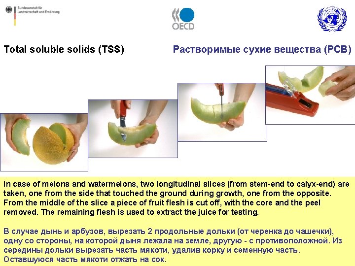 Total soluble solids (TSS) Растворимые сухие вещества (РСВ) In case of melons and watermelons,