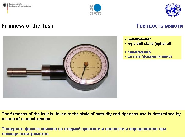 Firmness of the flesh Твердость мякоти § penetrometer § rigid drill stand (optional) §