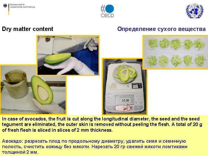 Dry matter content Определение сухого вещества In case of avocados, the fruit is cut