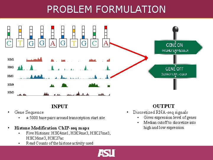 PROBLEM FORMULATION C T G G A G T G C A HM 1