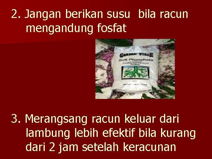 2. Jangan berikan susu bila racun mengandung fosfat 3. Merangsang racun keluar dari lambung