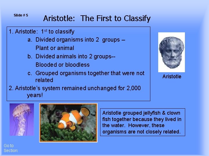 Slide # 5 Aristotle: The First to Classify 1. Aristotle: 1 st to classify