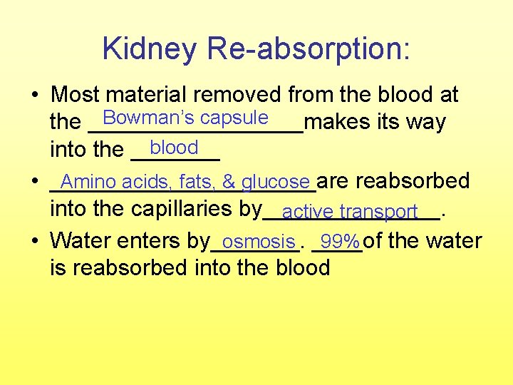 Kidney Re-absorption: • Most material removed from the blood at Bowman’s capsule the _________makes