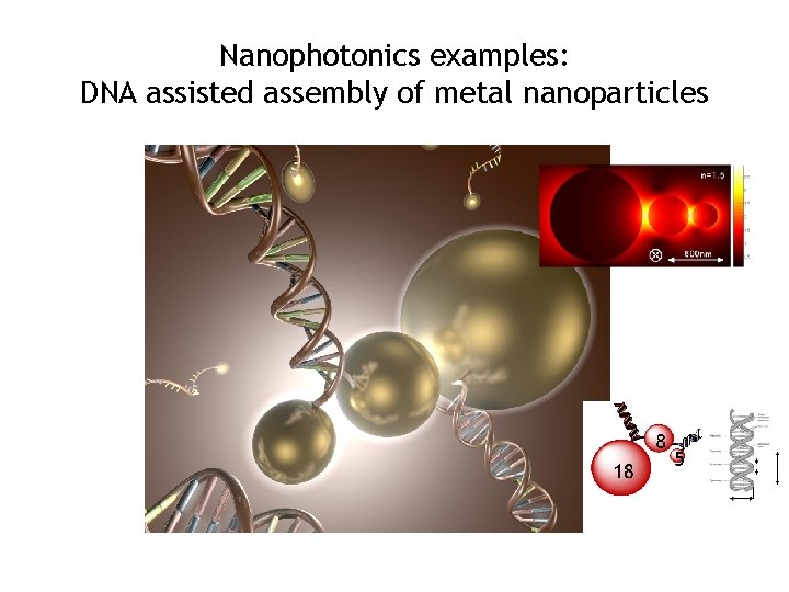 Nanophotonics examples: DNA assisted assembly of metal nanoparticles 