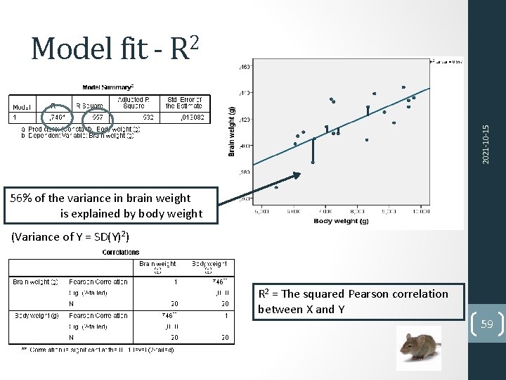 2021 -10 -15 Model fit - R 2 56% of the variance in brain