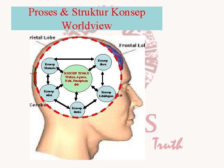 Proses & Struktur Konsep Worldview Konsep ilmu Konsep Manusia KONSEP TUHAN Wahyu, Agama, Nabi,