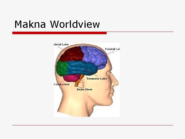 Makna Worldview 