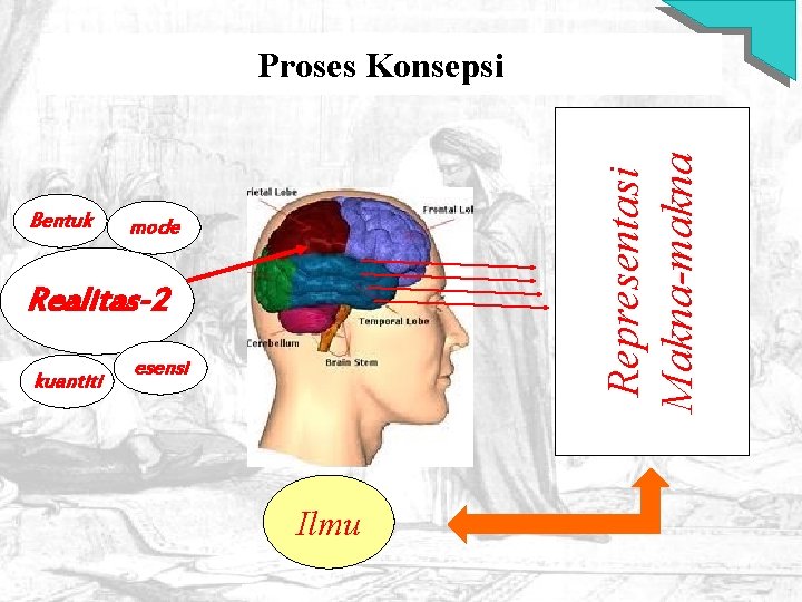 Bentuk Representasi Makna-makna Proses Konsepsi mode Realitas-2 kuantiti esensi Ilmu 51 