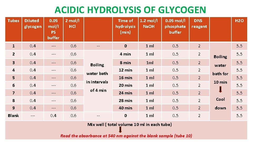 ACIDIC HYDROLYSIS OF GLYCOGEN Tubes Diluted glycogen 0. 05 mol/l PS buffer 2 mol/l
