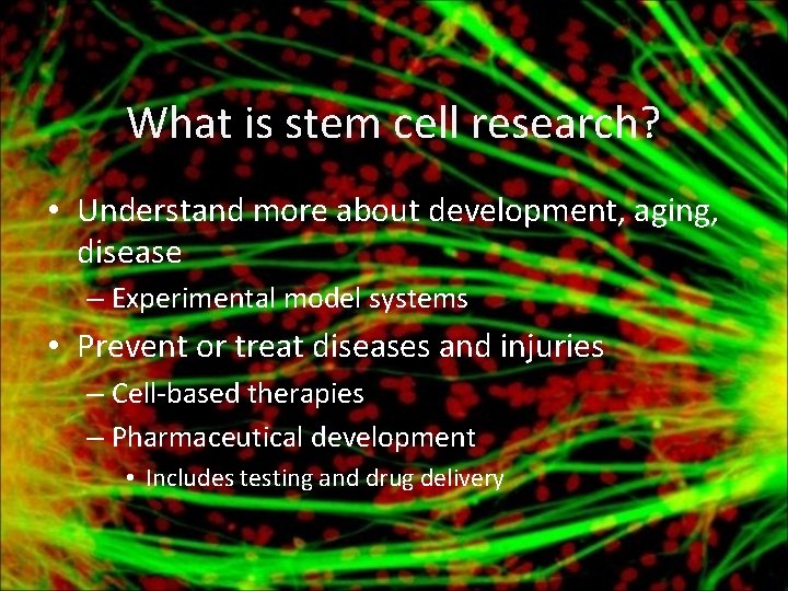 What is stem cell research? • Understand more about development, aging, disease – Experimental