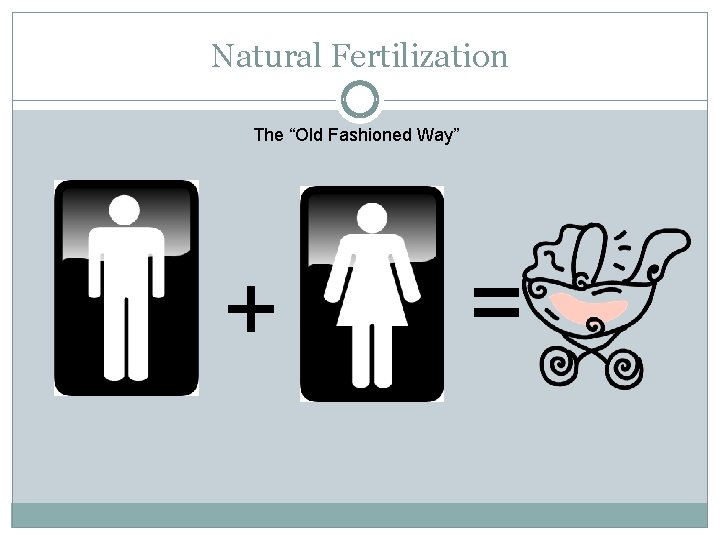 Natural Fertilization The “Old Fashioned Way” + = 